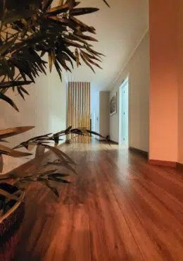Lótus Massage